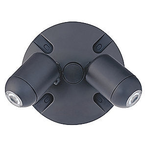 Dual-Lite EVODB 6W Outdoor LED Remote Lighting Head, Double Heads, Black Finish