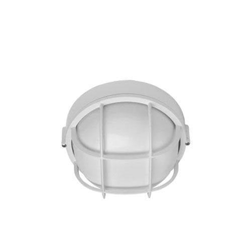 Hubbell Outdoor Lighting BRI-01 100W Euroluxe Wall or Ceiling Mount Decorative Round Incandescent Wallpack, Bronze Finish