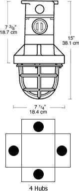 RAB EX12-3/4 300W Explosionproof Ceiling Fixture, 4 Hub Count, 3/4" H Hub Size, Silver Gray Finish