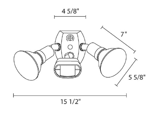 RAB GT500R/L Gotcha Motion Sensor and Two CCT-Selectable PAR38s Light Kit, Black