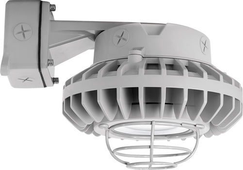 RAB HAZBLED26CF-G 26W Wall Mount LED Hazardous Location Fixture, 5100K (Cool), 2881 Lumens, 69 CRI, Clear Lens, Wire Guard, Natural Finish