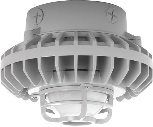 RAB HAZXLED26F-DG 26W Ceiling Mount LED Hazardous Location Fixture, 5100K (Cool), 1916 Lumen, 70 CRI, Frosted Globes, Die Cast Guard, DLC Listed, Natural Finish