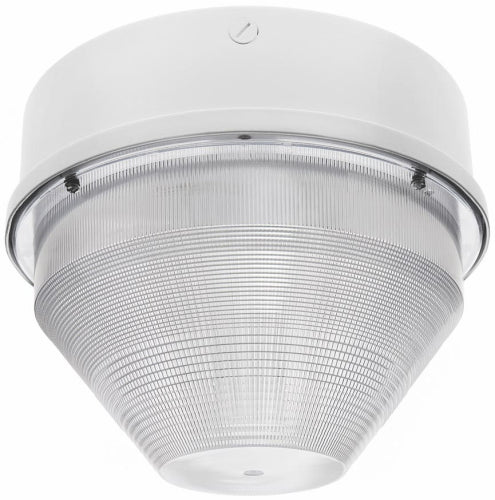 RAB VANGQL55W Vandalproof 55W Induction Lamp 120V White Color