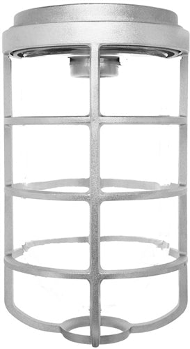 RAB VC200DG Vaporproof 150W Incandescent Lamp 120V Natural Color - No Glass, With Die Cast Guard