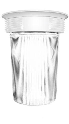 RAB VC200P-W Vaporproof 100W Incandescent Lamp 120V White Color - With Clear Flat Bottom Prismatic Polycarbonate Globe, No Guard