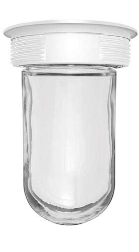 RAB VC200W Vaporproof 150W Incandescent Lamp 120V White Color - With Soda Lime Glass, No Guard