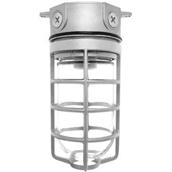 RAB VLX200DGW/F22 Vaporproof 22W Compact Fluorescent (CFL) Lamp 120V White Color - With Clear Soda Lime Glass and Die Cast Guard
