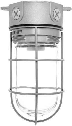 RAB VLX200GB Vaporproof 150W Incandescent Lamp 120V Black Color - With Soda Lime Glass and Wire Clamp Guard