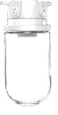 RAB VLX200W Vaporproof 150W Incandescent Lamp 120V White Color - With Soda Lime Glass, No Guard