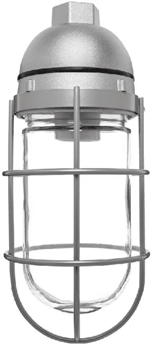 RAB VP100GB Vaporproof 150W Incandescent Lamp 120V Black Color - With Soda Lime Glass and Wire Clamp Guard