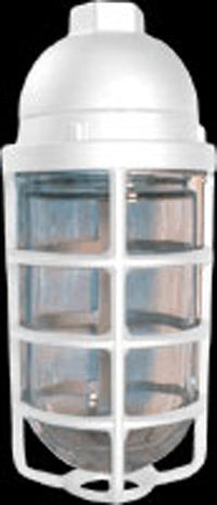 RAB VP200DGW-3/4 Vaporproof 200W Incandescent Lamp 120V White Color - With Soda Lime Glass and Die Cast Guard