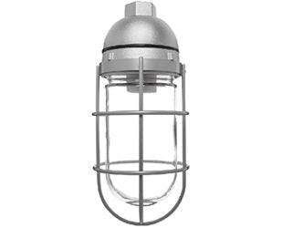 RAB VP200G/F22 Vaporproof 22W Compact Fluorescent (CFL) Lamp 120V Natural Color - With Soda Lime Glass and Wire Clamp Guard