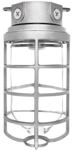 RAB VX200DG-3/4 Vaporproof 300W Incandescent Lamp 120V Natural Color - With Soda Lime Glass and Die Cast Guard