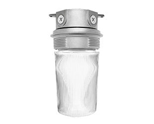 RAB VX200P/F22 Vaporproof 22W Compact Fluorescent (CFL) Lamp 120V Natural Color - With Clear Flat Bottom Prismatic Polycarbonate Globe, No Guard