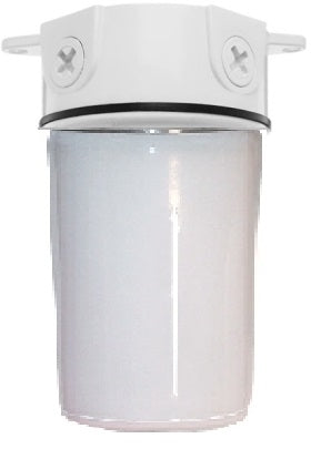 RAB VX200PW-W-3/4 Vaporproof 100W Incandescent Lamp 120V White Color - With White Flat Bottom Prismatic Polycarbonate Globe, No Guard