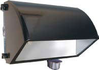 RAB WP2CF42MS WP2 Smartpack cutoff Sensor controlled WP2 Wallpack in 42 watts CFL cutoff, Bronze