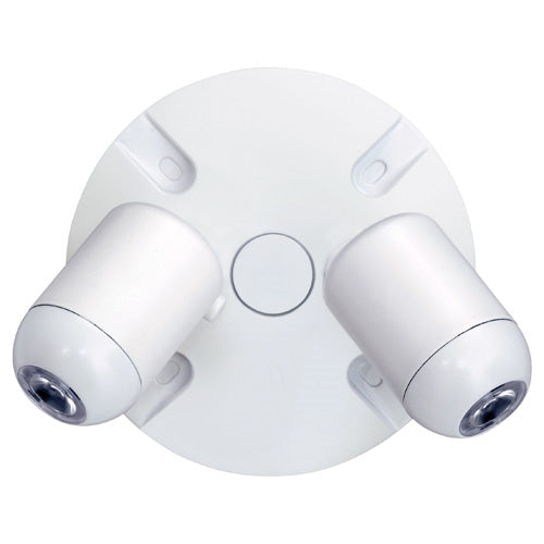Dual-Lite EVODW 6W Outdoor LED Remote Lighting Head, Double Heads, White Finish