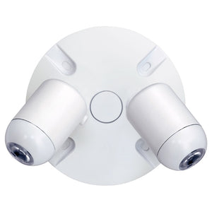 Dual-Lite EVODW 6W Outdoor LED Remote Lighting Head, Double Heads, White Finish