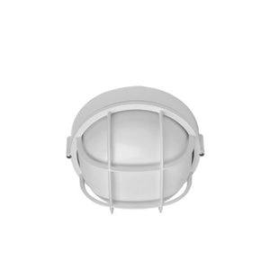 Hubbell Outdoor Lighting BRI-01 100W Euroluxe Wall or Ceiling Mount Decorative Round Incandescent Wallpack, Bronze Finish