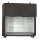 Hubbell Outdoor Lighting PGL-250S-128-1 250W Perimaliter High Pressure Sodium Wallpack, Quad Tap Voltage, CWA-HPF Ballast, Lamp Not Included, Dark Bronze Finish