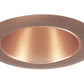 Juno Recessed Lighting 17WHZ-ABZ (17 WHZBRZ) 4" Line Voltage Reflector Downlight Trim, Wheat Haze Reflector, Age Bronze Trim