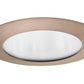 Juno Recessed Lighting 210-ABZ (210N-ABZ) 5" LED, Line Voltage, Compact Fluorescent, Shower Trim, Aged Bronze Trim