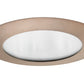 Juno Recessed Lighting 210N-ABZ (210N ABZ) 5" LED, Line Voltage, Compact Fluorescent, Shower Trim, Aged Bronze Trim