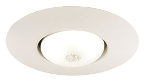 Juno Recessed Lighting 250-WH (250 WH) 6" Line Voltage, Open Frame Trim with BR30 Lamp, White Trim