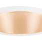 Juno Recessed Lighting 257WHZ-WH (257 WHZWH) 6" Line Voltage, Deep Cone Trim, Wheat Haze Reflector, White Trim
