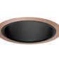 Juno Recessed Lighting 25B-ABZ (25 BABZ) 6" Line Voltage, Straight Baffle Trim, Black Baffle, Aged Bronze Trim