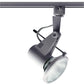 Juno Track Lighting T218SL (T218 SL) Delta 200 - Line Voltage 75W PAR30, Silver Color
