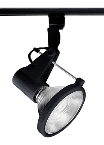 Juno Track Lighting T219BL (T219 BL) Delta 200 - Line Voltage 150W PAR38, Black Color