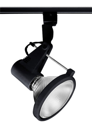 Juno Track Lighting T219BL (T219 BL) Delta 200 - Line Voltage 150W PAR38, Black Color