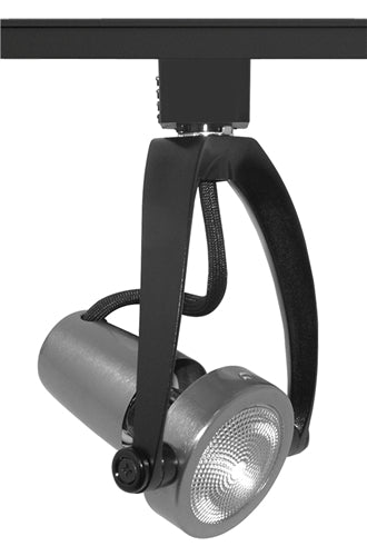 Juno Track Lighting T482SC (T482 SC) Wishbone - Line Voltage 50W PAR20, Satin Chrome Color