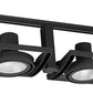 Juno Track Lighting T834BL (T834 BL) Framed Duo - Line Voltage 75W PAR30, Black Color