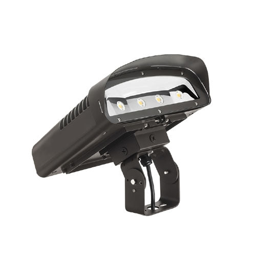 Lithonia OLWX2YK M4 Yoke Mount Size 2