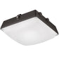 Lithonia CNY LED P0 50K MVOLT DDB M4 27W LED Canopy, 3500 Lumens, 5000K Color Temperature, 120-277V, Dark Bronze