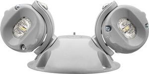 Lithonia ELMRW LP220L DNAXD T Universal DC Voltage, 110 Lumens, Linear Pattern, 5VDC-20VDC Input, Twin Lamps, Natural Aluminum