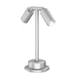 Lumiere 1002-P2-RCS-RW-LED2797-F-CS-24-L1-UNV-RSM 20W Lanterra 1002 LED Pathway Floodlight, 2 Heads, Center Rear Swivel, Recessed Lens with Weep Holes, 2700K, 97 CRI, Flood Optic, City Silver Finish, 24" Stem, 120-277, Mounts Directly to Junction Box
