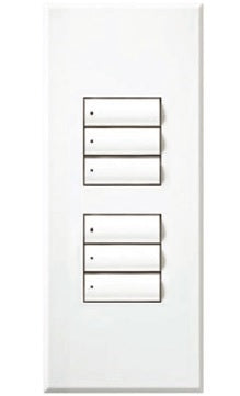 Lutron LFS-W3BD-AU HomeWorks QS Wired seeTouch Signature Dual Group Faceplate Kit, Architectural Metal Finish (Faceplate Only), in Gold