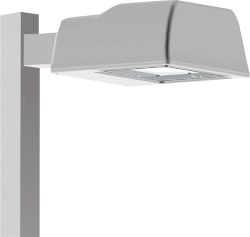 RAB ALS250QTW 250W High Pressure Sodium AL Pole Mount Area Light, 24000 Lamp Life, Type II Distribution, White Finish