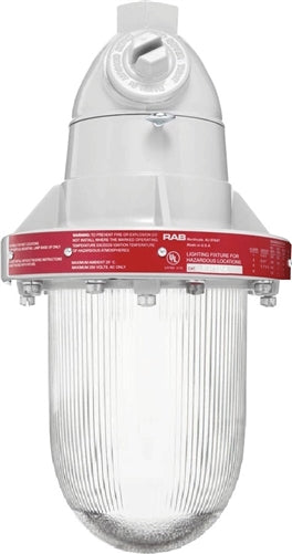 RAB EP12 300W Explosionproof Pendant, 1 Hub Count, 1/2" Hub Size, Silver Gray Finish