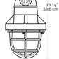 RAB EP12 300W Explosionproof Pendant, 1 Hub Count, 1/2" Hub Size, Silver Gray Finish