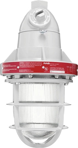 RAB EP124-3/4 300W Explosionproof Pendant with Die Cast Guard, 1 Hub Count, 3/4" Hub Size, Silver Gray Finish