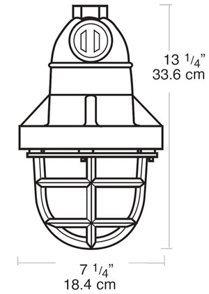 RAB EP124-3/4 300W Explosionproof Pendant with Die Cast Guard, 1 Hub Count, 3/4" Hub Size, Silver Gray Finish
