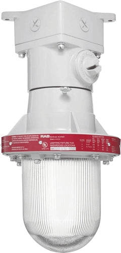 RAB EX12-3/4 300W Explosionproof Ceiling Fixture, 4 Hub Count, 3/4" H Hub Size, Silver Gray Finish
