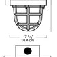 RAB EX12T-3/4 300W Explosionproof Ceiling Fixture, 8 Hub Count, 1/2" H Hub Size, Silver Gray Finish