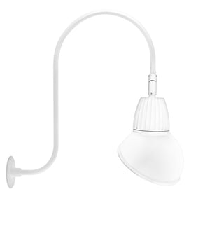 RAB GN3LED26YRAD11W 26W LED Gooseneck Dome Shade with Upcurve 30" High, 25" from Wall Goose Arm, 3000K (Warm), Rectangular Reflector, 11" Angled Dome Shade, White Finish