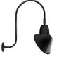 RAB GN3LED26YSACB 26W LED Gooseneck Cone Shade with Upcurve 30" High, 25" from Wall Goose Arm, 3000K Color Temperature (Warm), Spot Reflector, 15" Angled Cone Shade, Black Finish