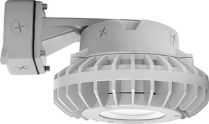 RAB HAZBLED26CF 26W Wall Mount LED Hazardous Location Fixture, 5100K (Cool), 2881 Lumens, 69 CRI, Clear Lens, No Guard, Natural Finish